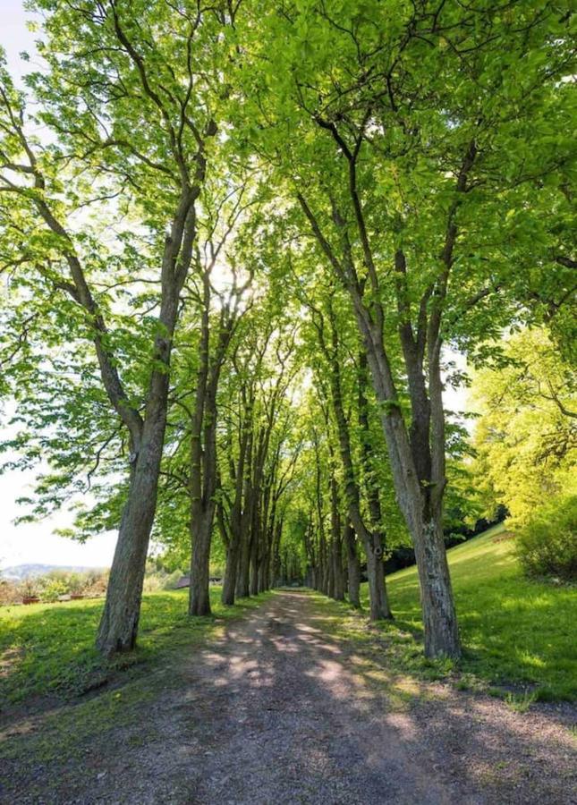 Urlaub In Schlossnaehe Artstetten Bagian luar foto